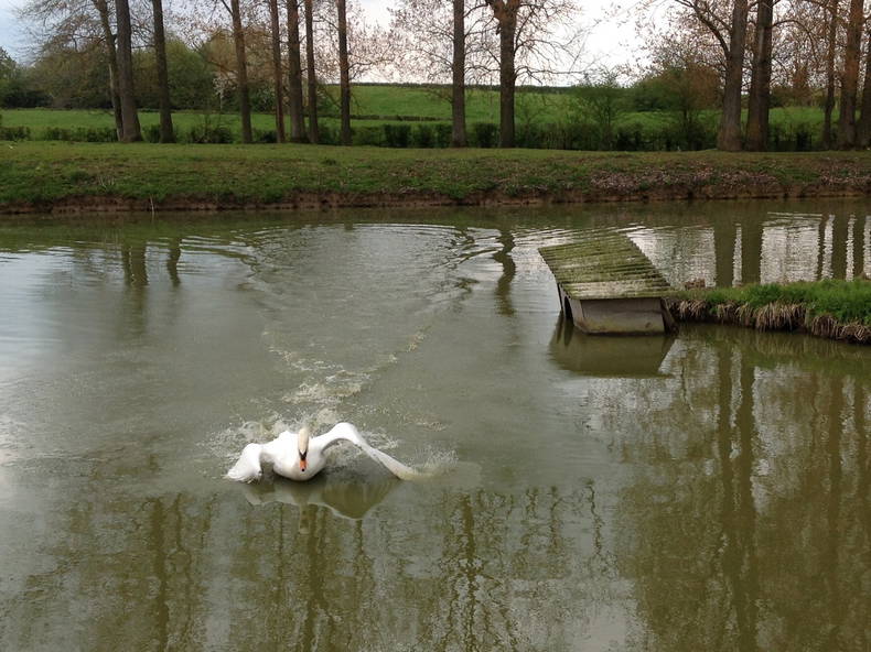 Bed And Breakfast Romeries 133270-2