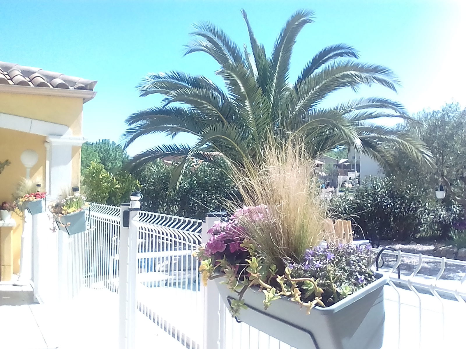 Gastenkamers Béziers 166511