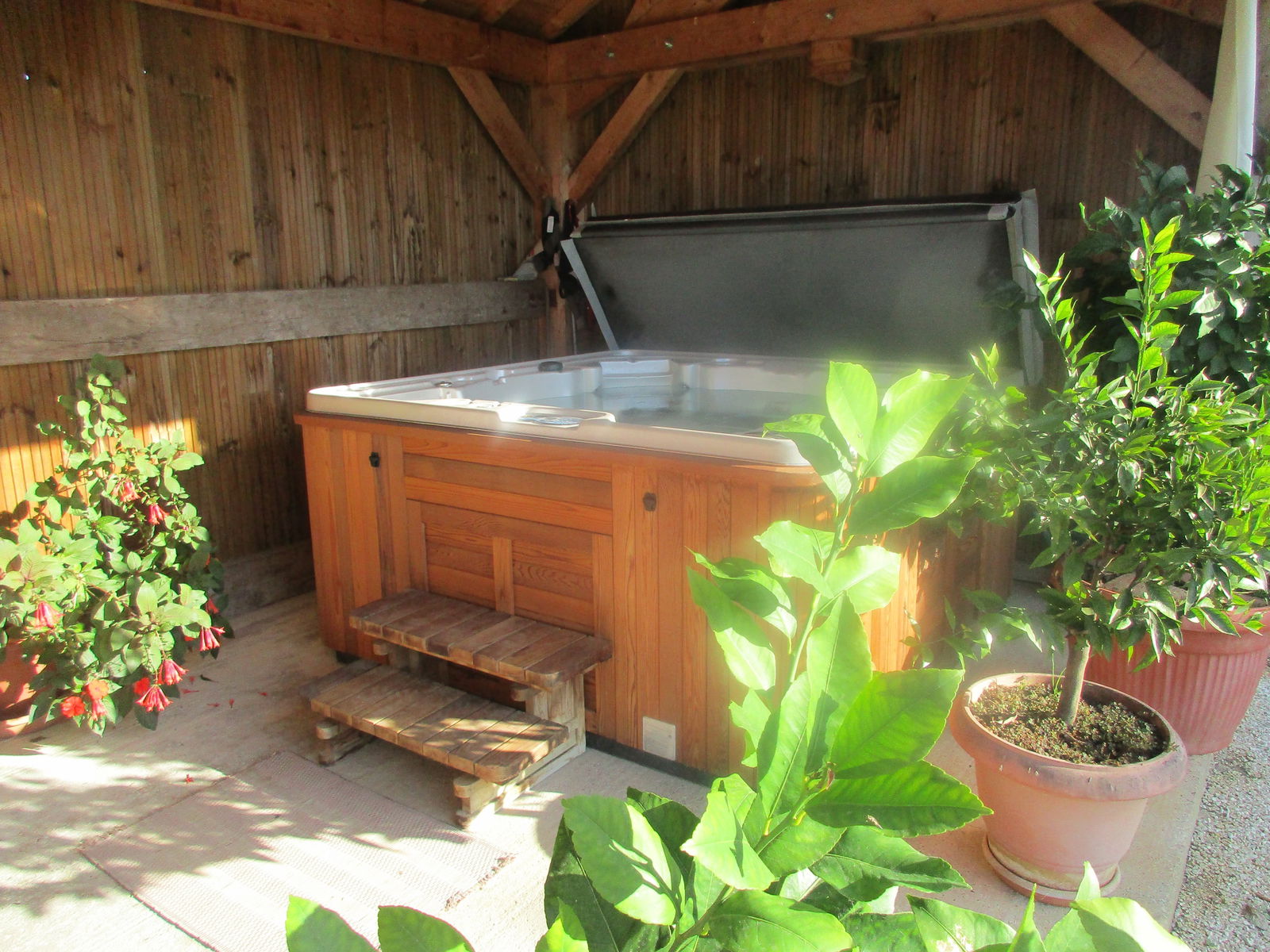 Bed And Breakfast Saint-Avit-Sénieur 15124