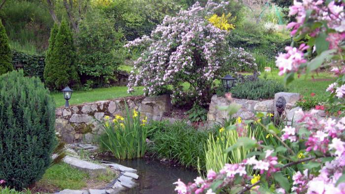 Bed And Breakfast Villechenève 113355