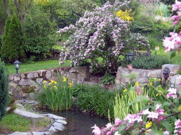 Chambre D'hôte Villechenève 113355-6