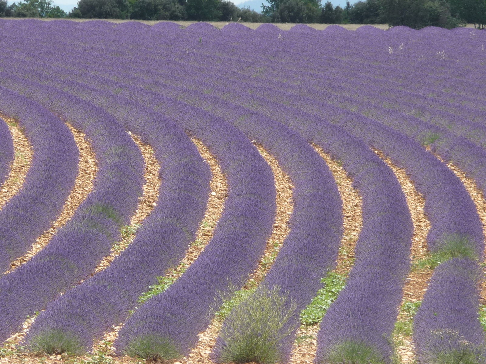 Bed And Breakfast Artignosc-sur-Verdon 97478