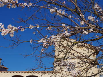 Chambre D'hôte Artignosc-Sur-Verdon 97478-11