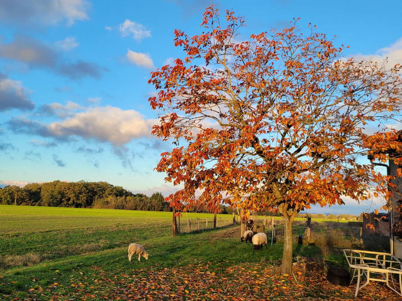 Gastfamilie Peyrole 313106-3