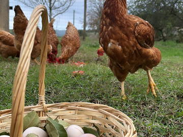 Chambre Chez L'habitant Peyrole 313106-4