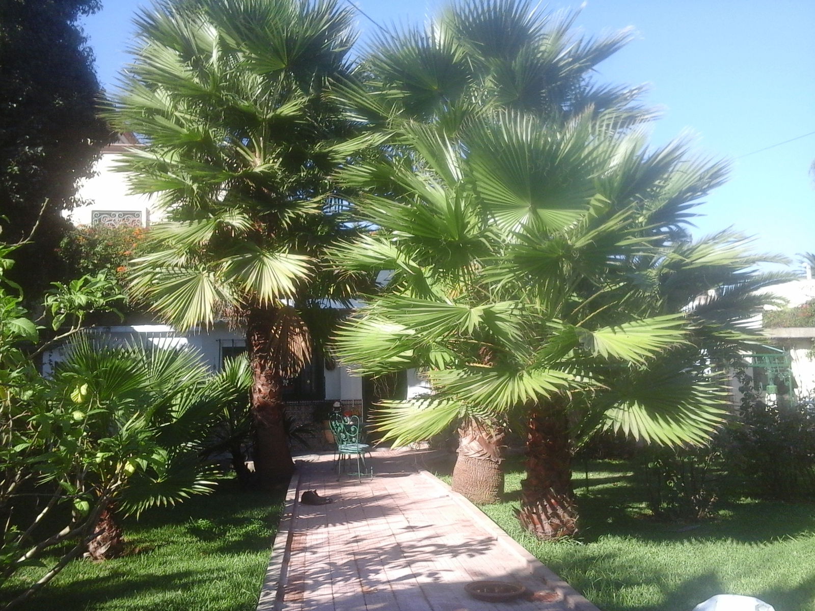 Homestay Casablanca 213454