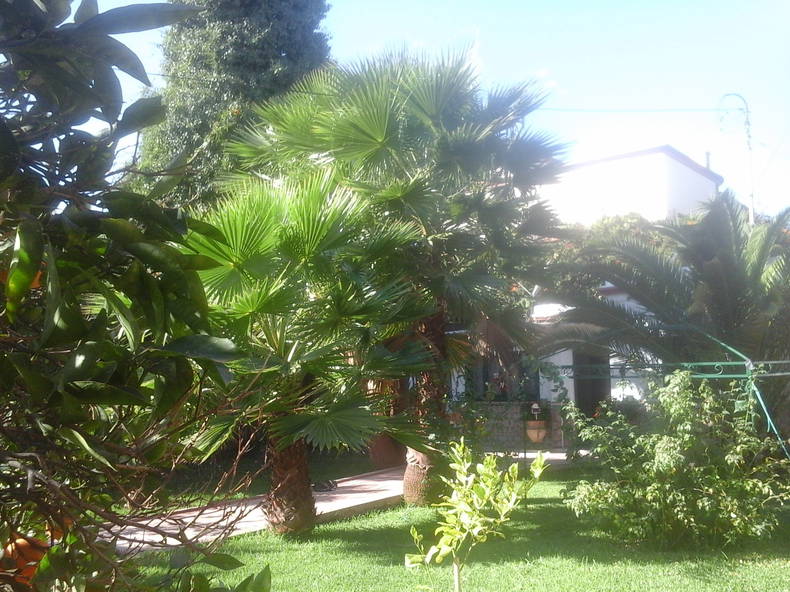 Gastfamilie Casablanca 213454-3