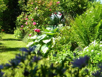 Chambre D'hôte Vaux-En-Amiénois 60738-5