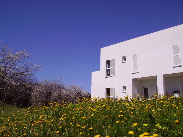 Chambres D'hôtes Castellare-Di-Casinca 42692-3