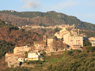 Chambre D'hôte Castellare-Di-Casinca 42692-10