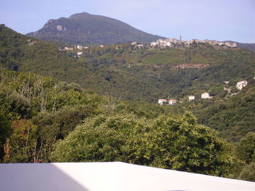 Chambre D'hôte Castellare-Di-Casinca 42692-11