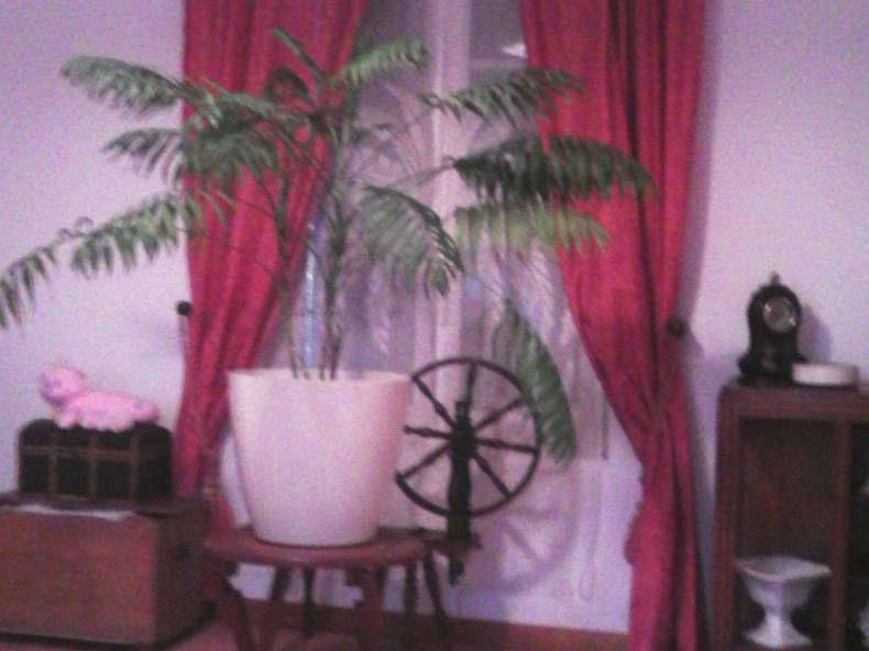 Chambre Chez L'habitant Saint-Aubin 121541-2