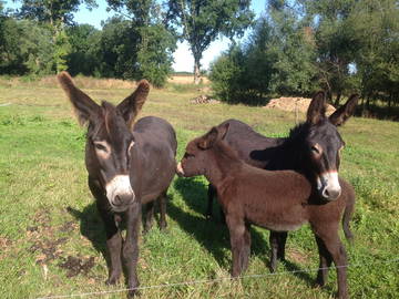 Chambre D'hôte Huriel 42501-9