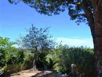 Room For Rent Montagnac 134602