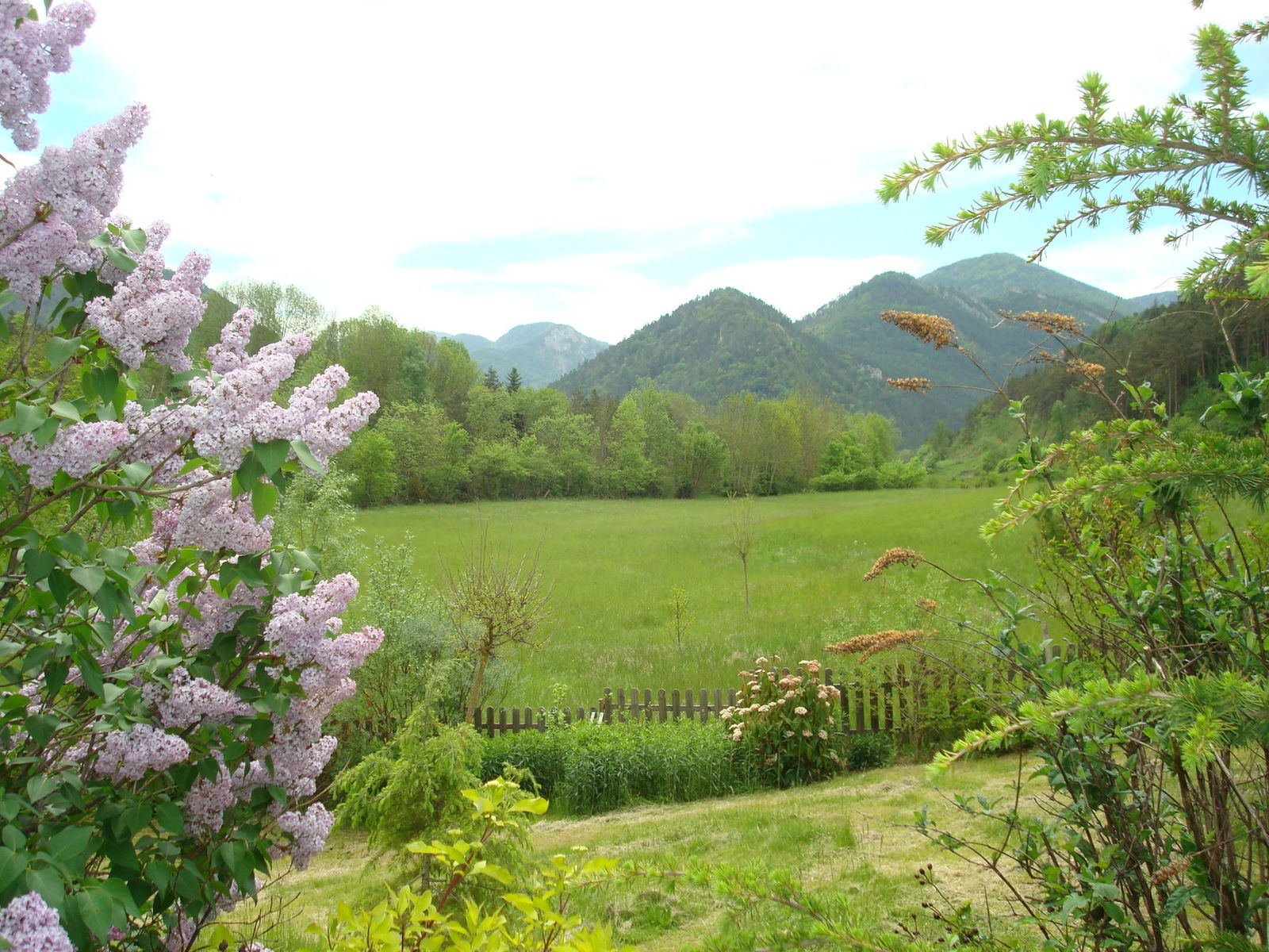 Bed And Breakfast Boulc 119582