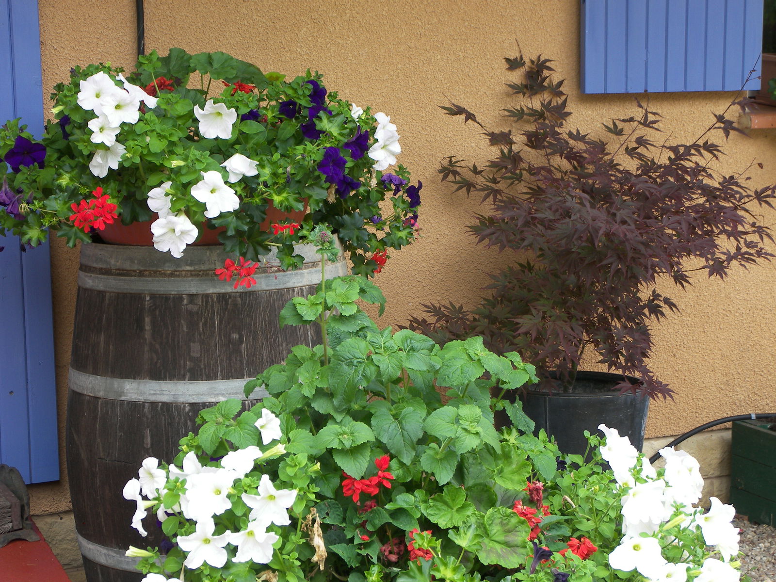 Bed And Breakfast Catus 124211