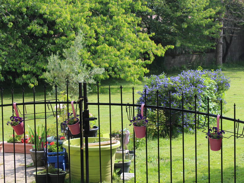 Gastgezin Saint-Vincent-Sterlanges 258937-1