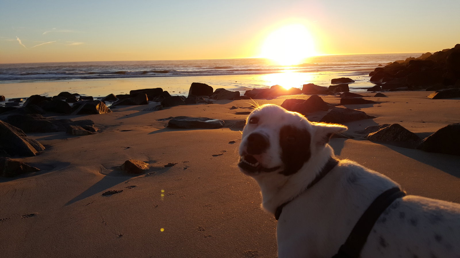 Famiglia Barcelos 156929