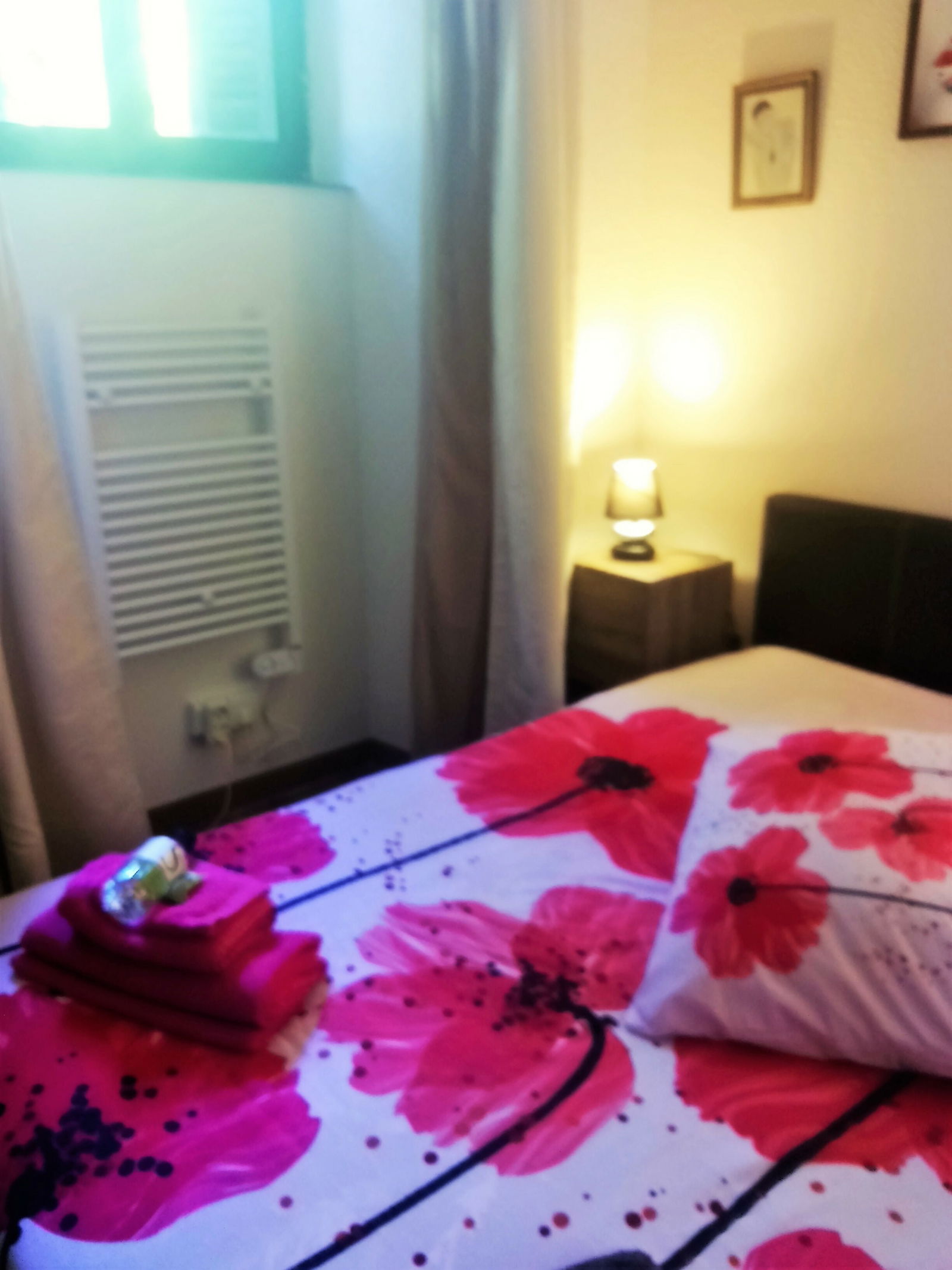 Gastenkamers Marignana 122886