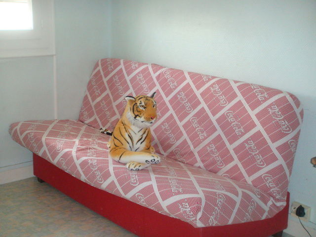 Hospedagem Em Casa De Família Orléans 54459