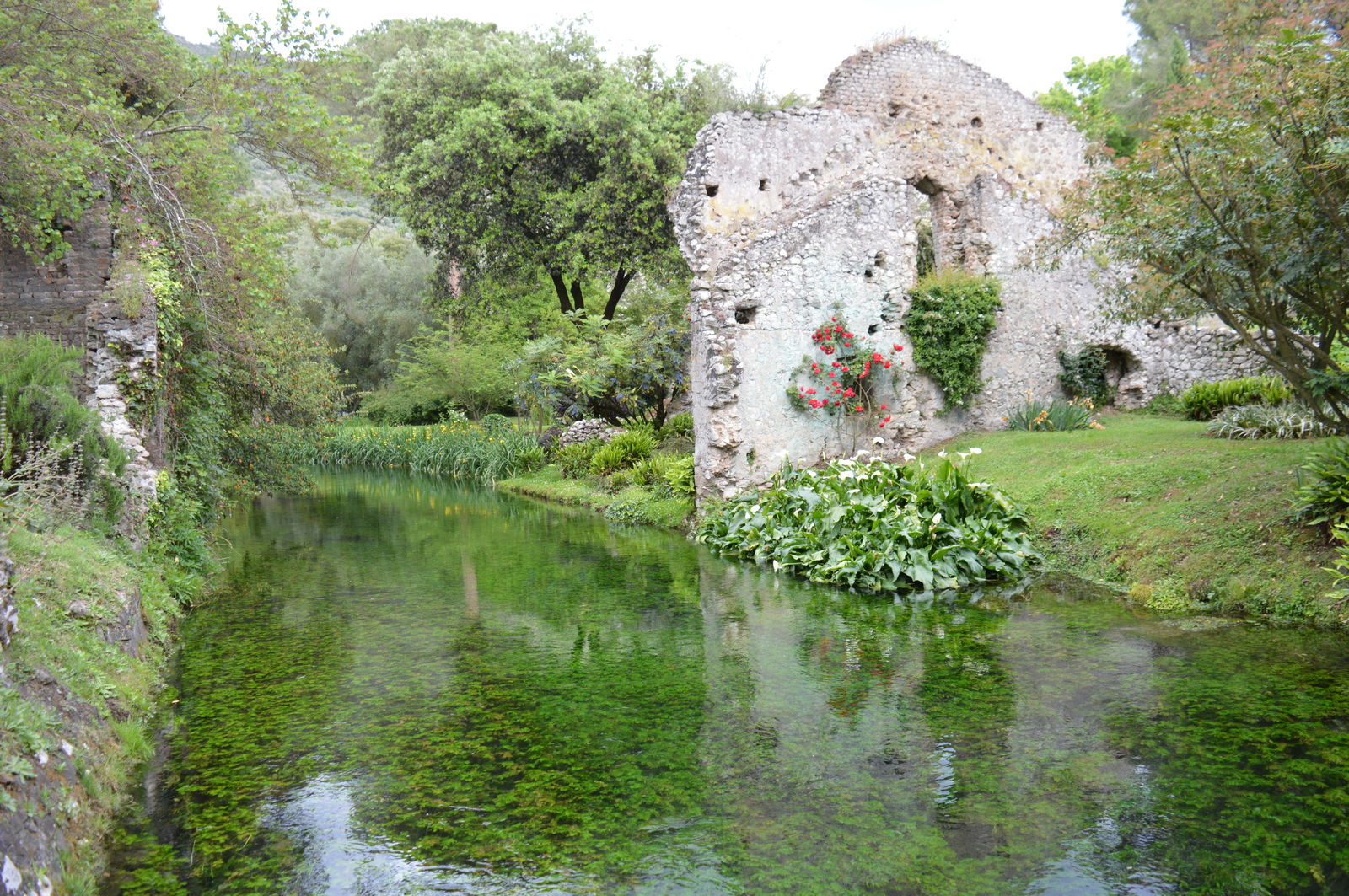 Gastenkamers Borgo San Michele 191507