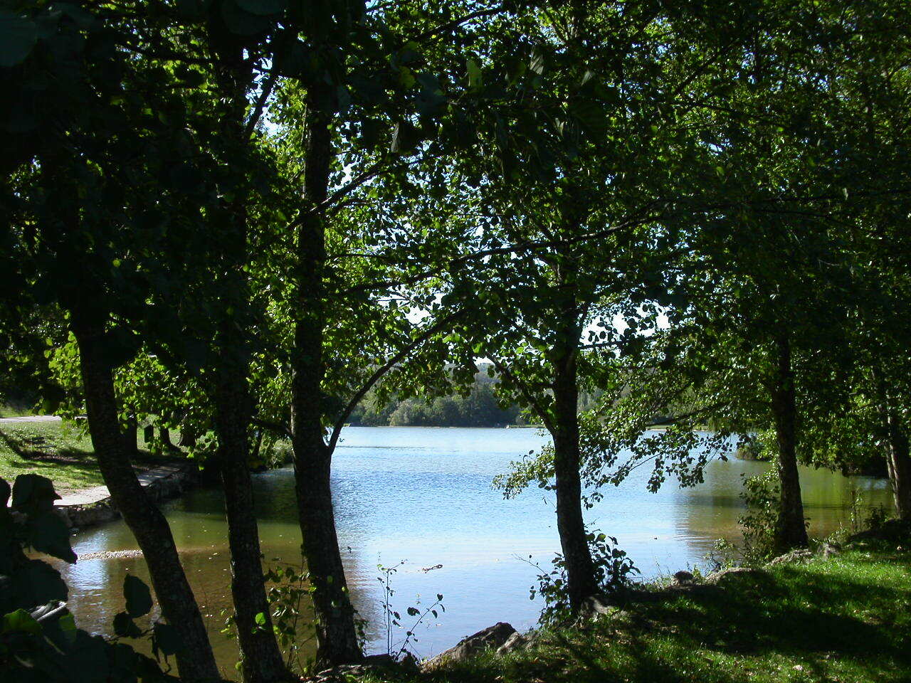 Quartos De Hóspedes Catus 124211