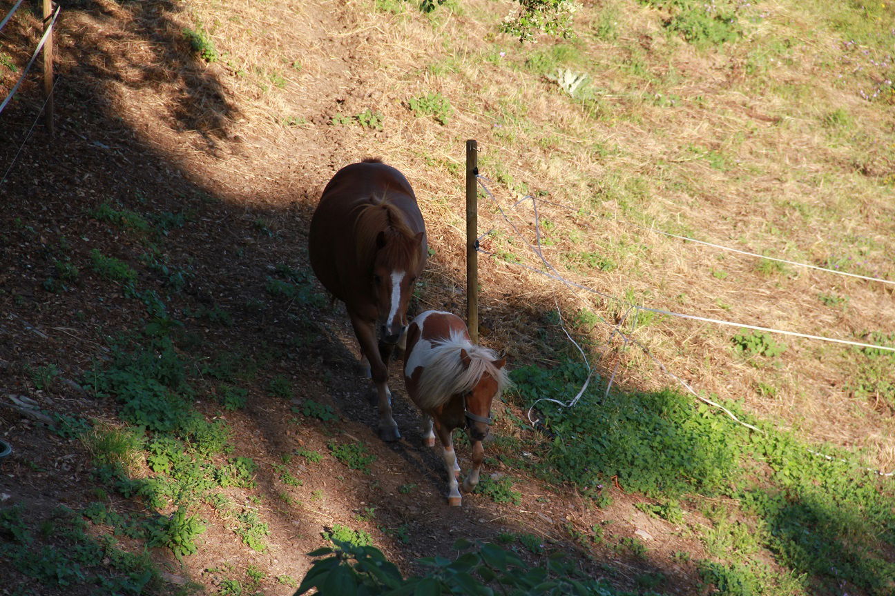 Bed And Breakfast Villardonnel 24725