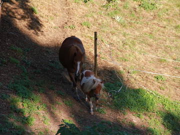 Chambre D'hôte Villardonnel 24725-6