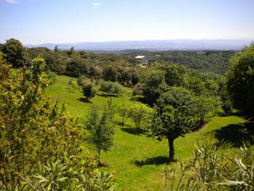 Chambre D'hôte Villardonnel 24725-7