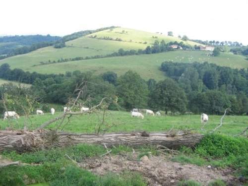 Camere Per Gli Ospiti Pradines 124258