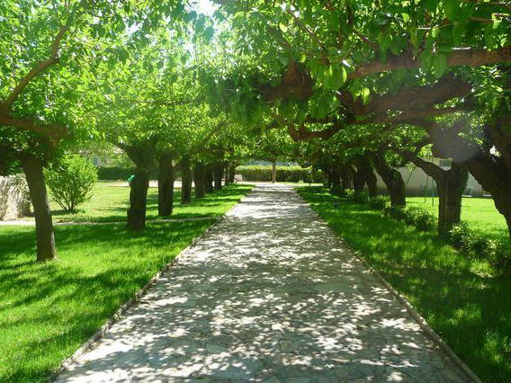 Chambres D'hôtes Les Plans 22985-2