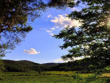 Chambre Chez L'habitant Narbonne 45907-7