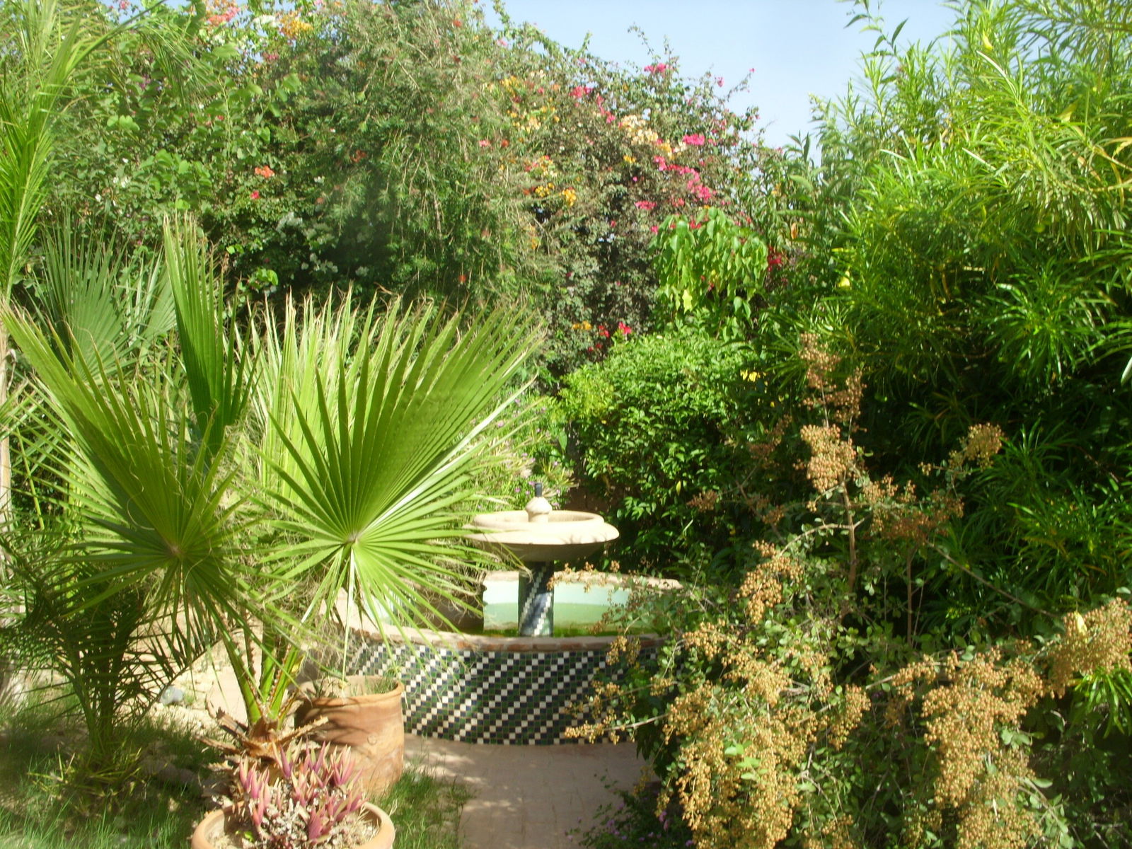 Gastenkamers Taroudant 104684