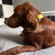 Quedarse En Casa Muret 453062