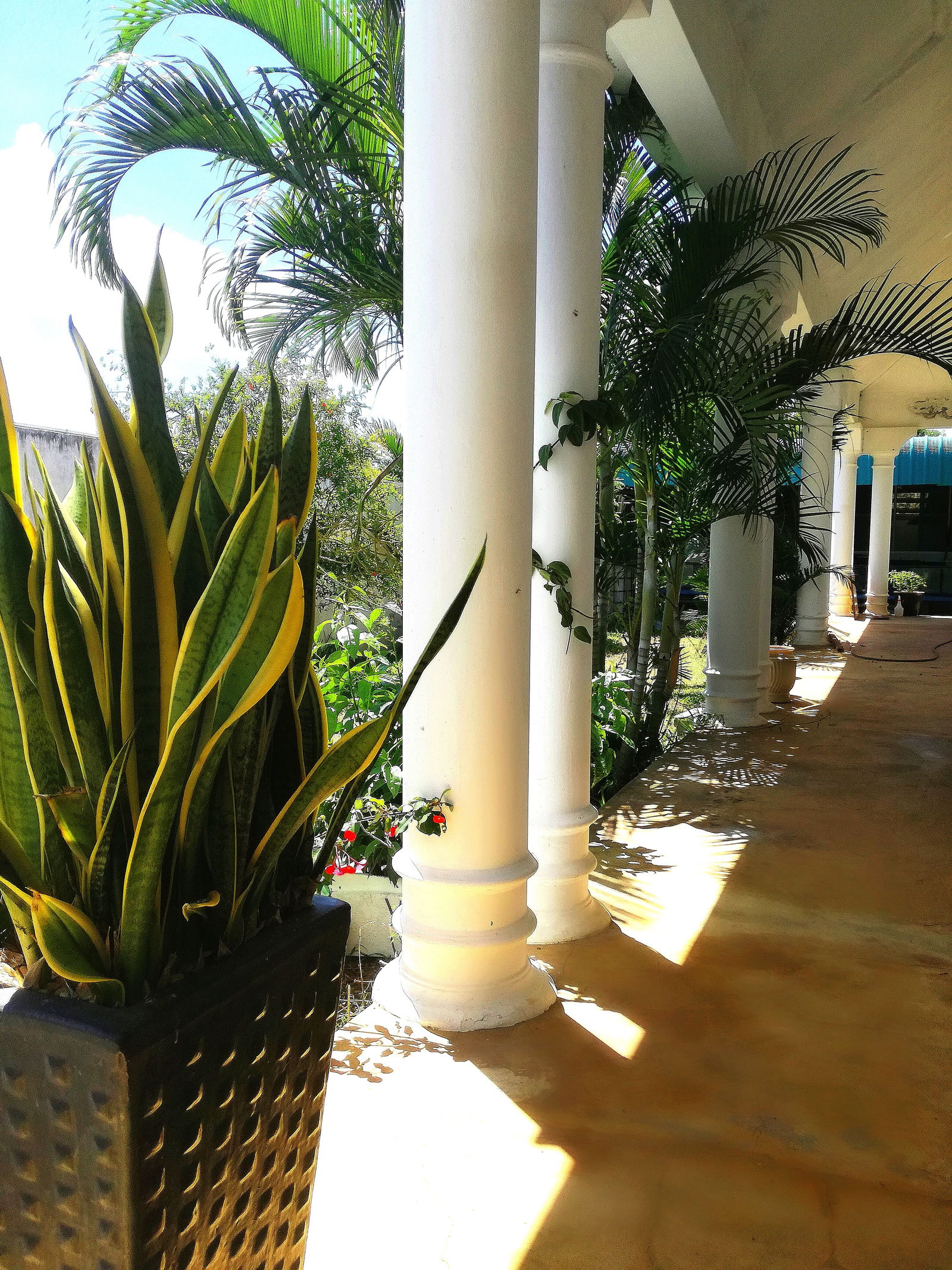 Homestay Cap Malheureux 224627