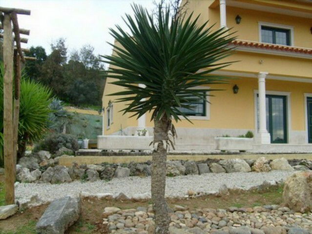 Gästezimmer Alcobaça 10202
