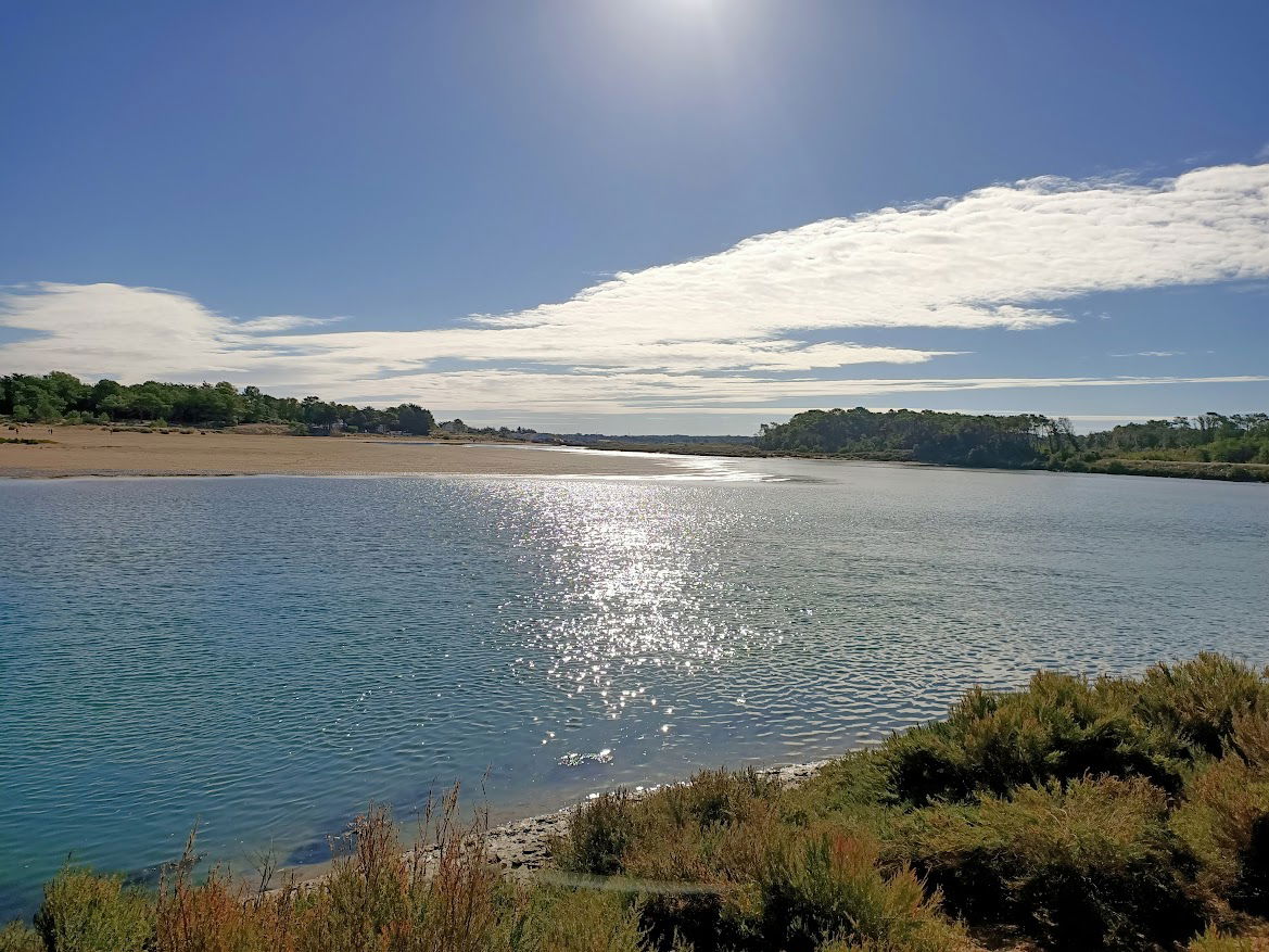 Gæsteværelser Talmont-Saint-Hilaire 639843