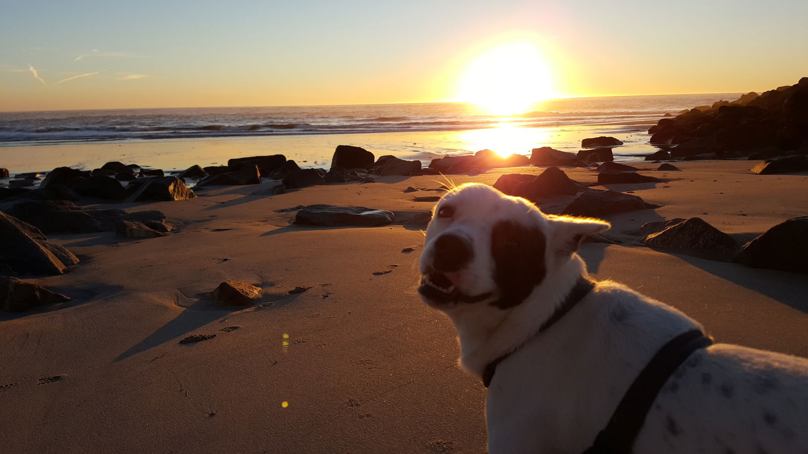 Gastfamilie Barcelos 156929