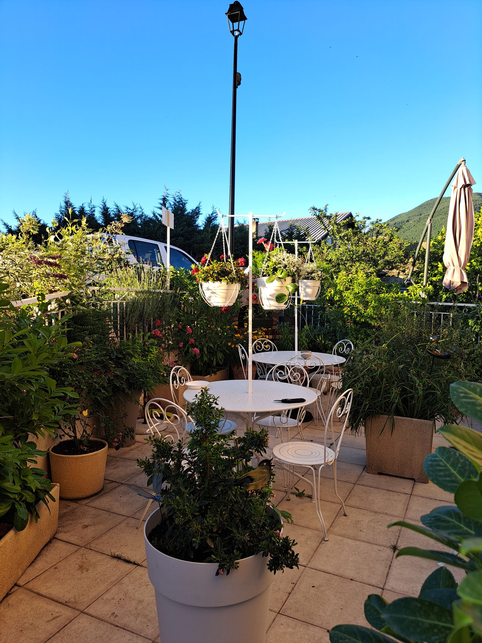 Homestay Venterol 52814