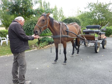 Gastfamilie Vix 646127