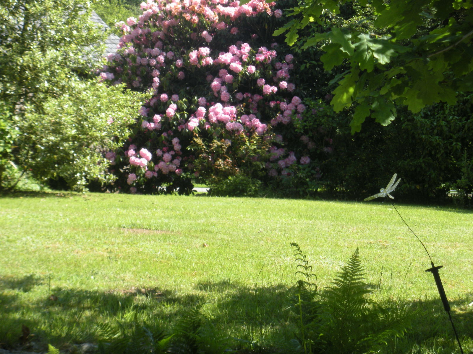 Gastfamilie Botmeur 61381