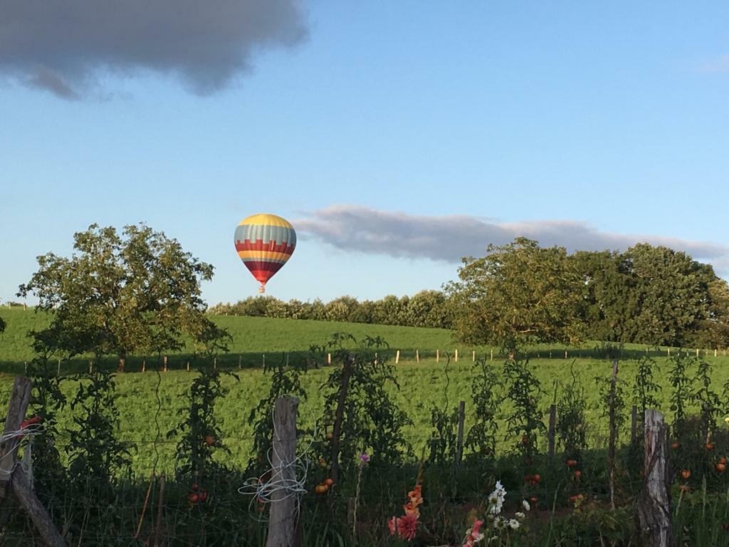 Gästezimmer Saint-Cirq-Madelon 145742