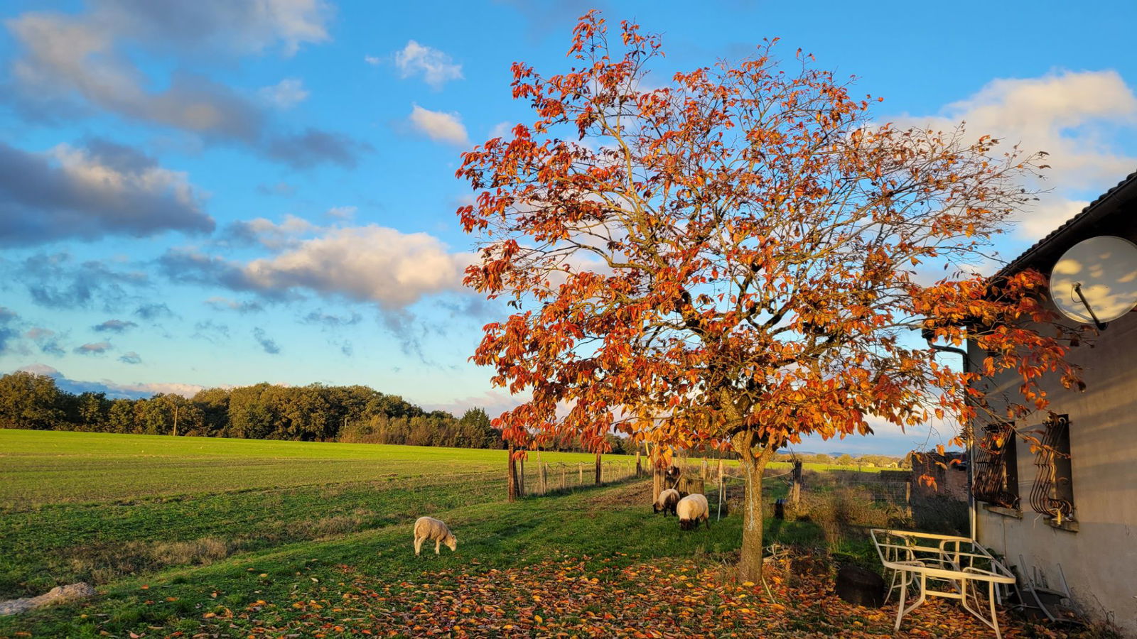 Quedarse En Casa Peyrole 313106