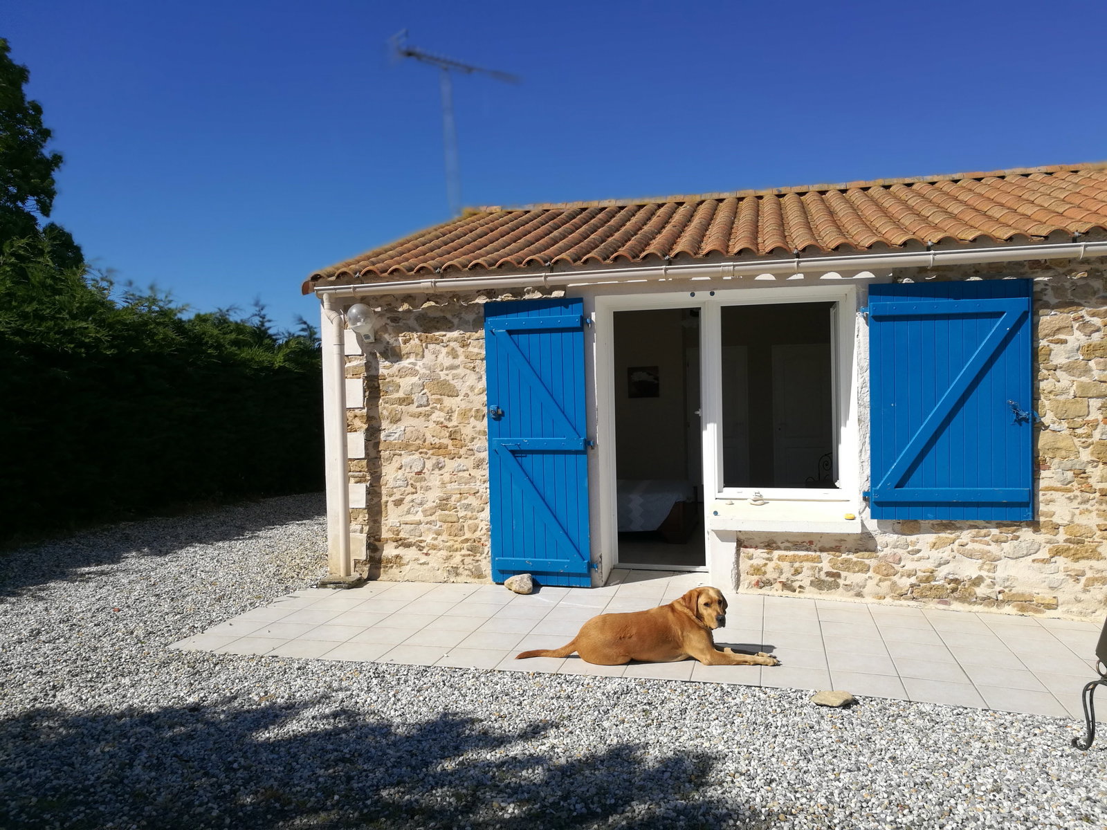 Gastekamers Talmont-Saint-Hilaire 639843