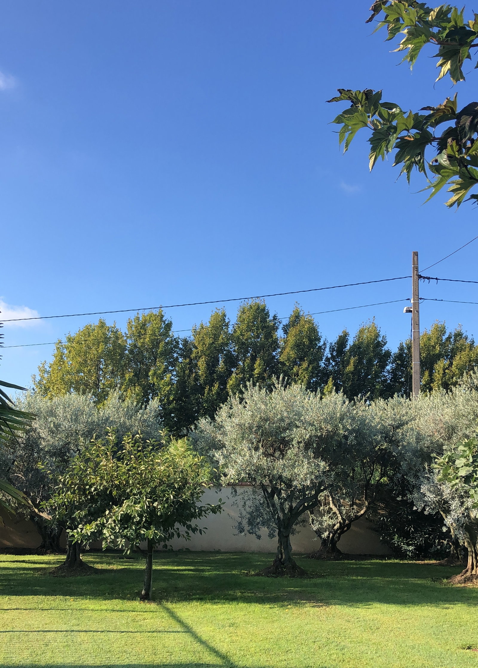Gastekamer Caumont-sur-Durance 44489