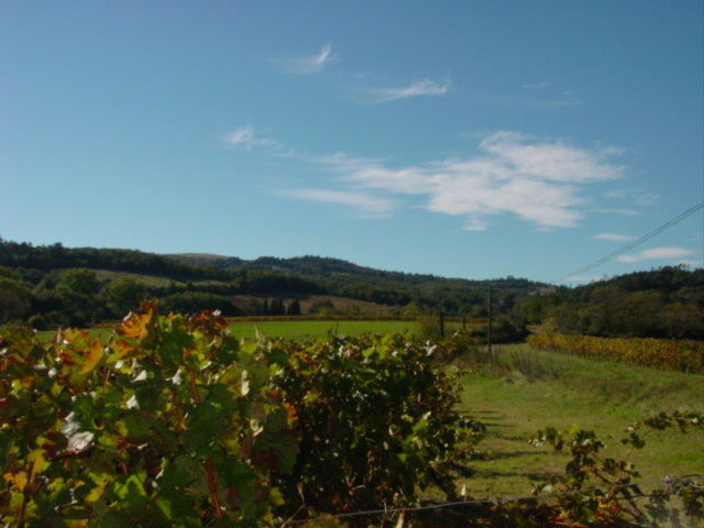 Gastekamers Arzens 30514