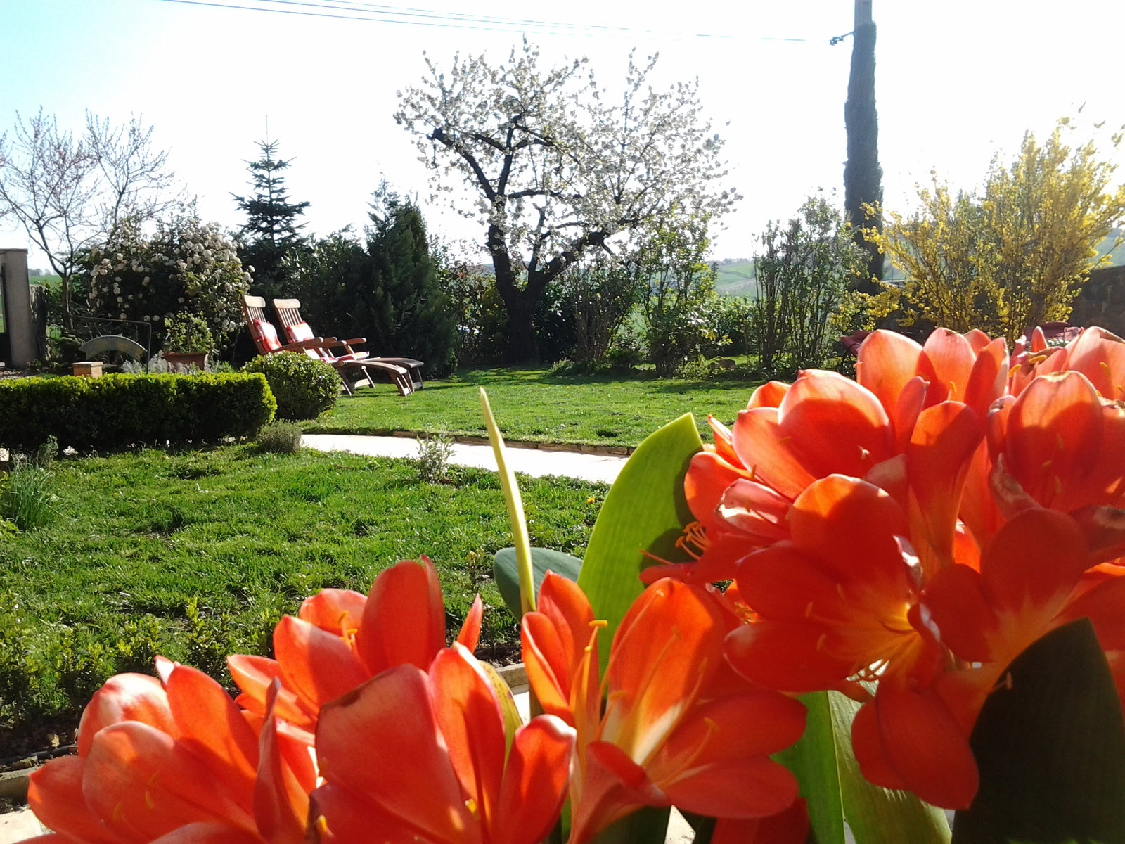 Gastekamers Savigny 66392