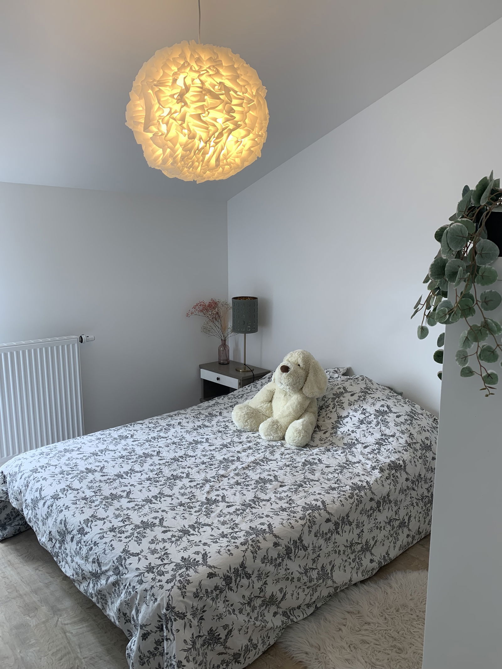 Colocation Urrugne 268140