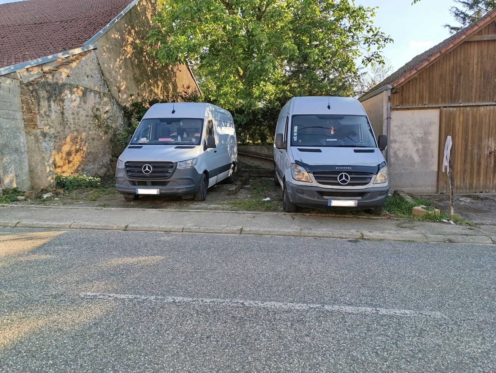 Colocation Zilling 264454