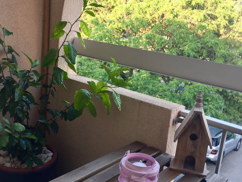 Colocación Montpellier 266650-2